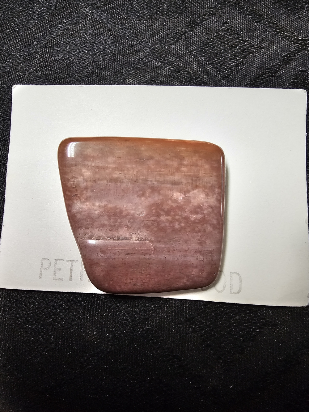 Polished Petrified Wood Brooch